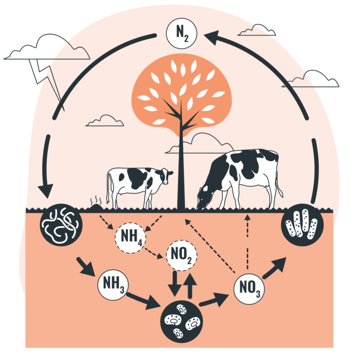 Agripower Barometre de Kompy